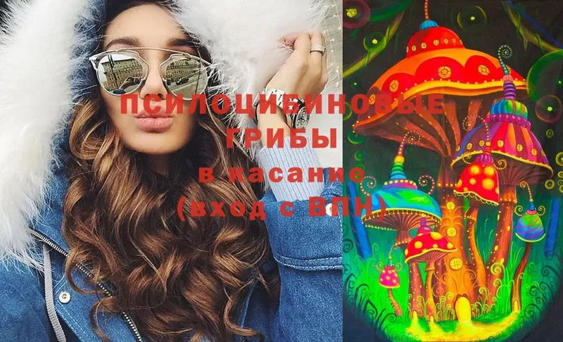 Псилоцибиновые грибы MAGIC MUSHROOMS  Братск 